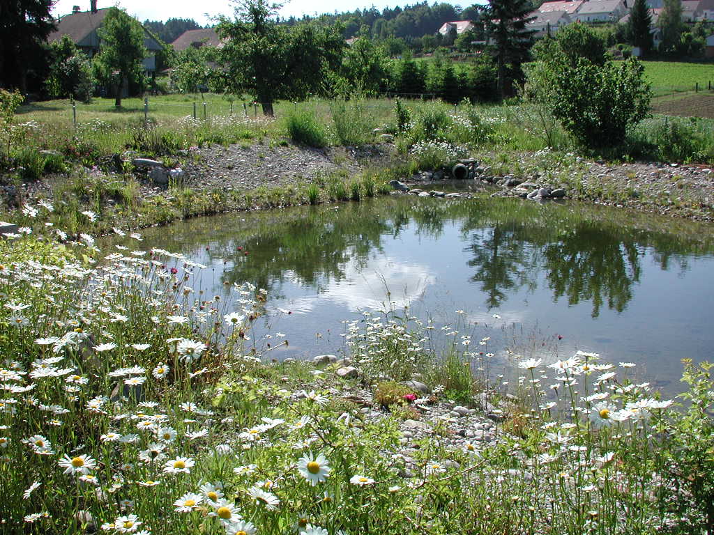 Fachkurs GEP-Grundlagen 03./04. März 2026, Novotel Zürich