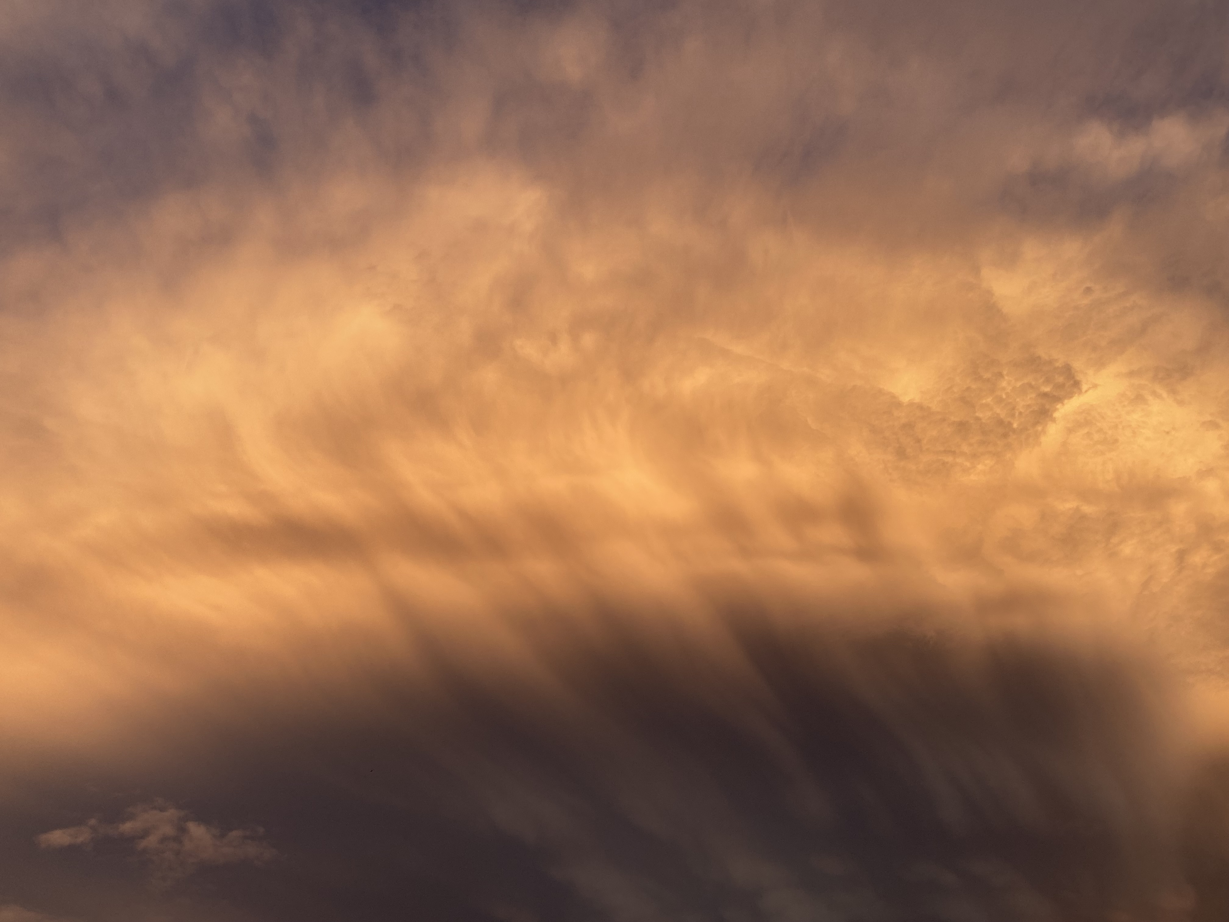 81. Assemblea Generale 08.05.2025, Friburgo